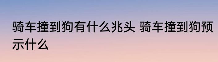 骑车撞到狗有什么兆头 骑车撞到狗预示什么