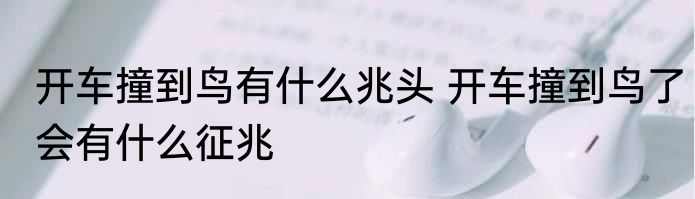 开车撞到鸟有什么兆头 开车撞到鸟了会有什么征兆