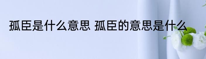孤臣是什么意思 孤臣的意思是什么