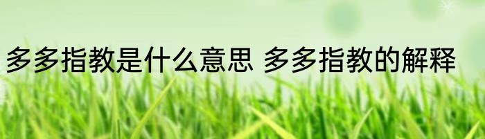 多多指教是什么意思 多多指教的解释