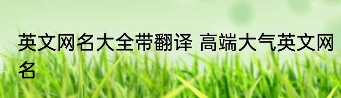 英文网名大全带翻译 高端大气英文网名