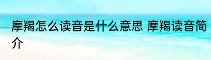 摩羯怎么读音是什么意思 摩羯读音简介