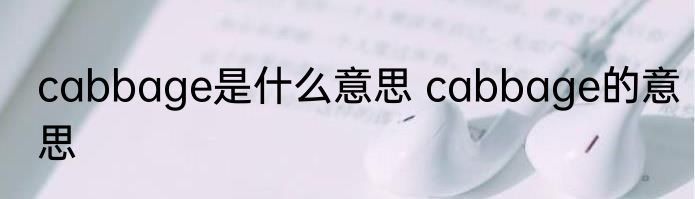 cabbage是什么意思 cabbage的意思