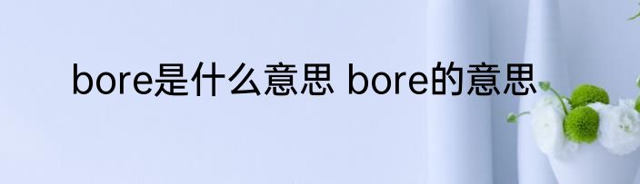 bore是什么意思 bore的意思