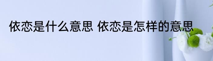 依恋是什么意思 依恋是怎样的意思