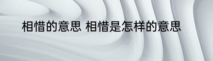 相惜的意思 相惜是怎样的意思
