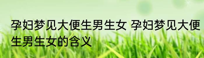 孕妇梦见大便生男生女 孕妇梦见大便生男生女的含义