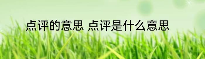 点评的意思 点评是什么意思