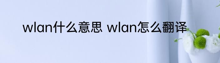 wlan什么意思 wlan怎么翻译