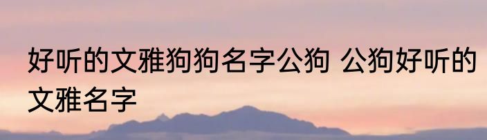 好听的文雅狗狗名字公狗 公狗好听的文雅名字