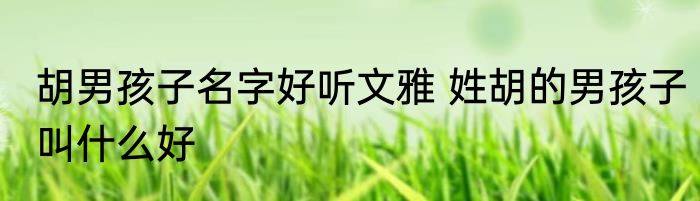 胡男孩子名字好听文雅 姓胡的男孩子叫什么好