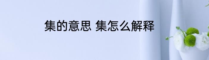 集的意思 集怎么解释