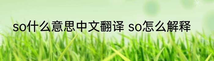 so什么意思中文翻译 so怎么解释