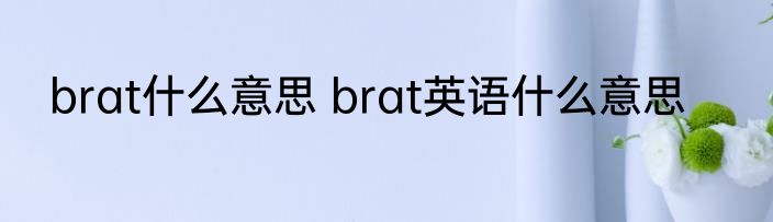 brat什么意思 brat英语什么意思