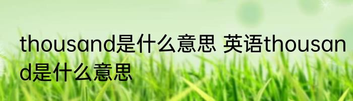 thousand是什么意思 英语thousand是什么意思