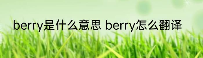 berry是什么意思 berry怎么翻译