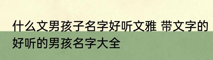 什么文男孩子名字好听文雅 带文字的好听的男孩名字大全