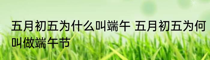 五月初五为什么叫端午 五月初五为何叫做端午节