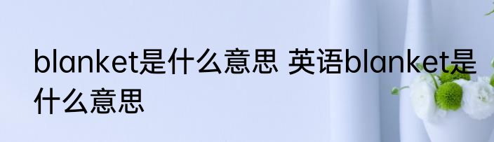 blanket是什么意思 英语blanket是什么意思