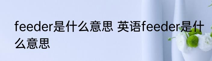 feeder是什么意思 英语feeder是什么意思