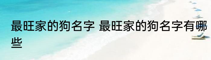 最旺家的狗名字 最旺家的狗名字有哪些