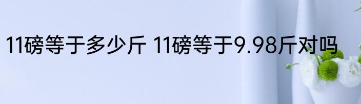 11磅等于多少斤 11磅等于9.98斤对吗