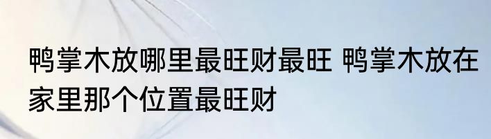 鸭掌木放哪里最旺财最旺 鸭掌木放在家里那个位置最旺财
