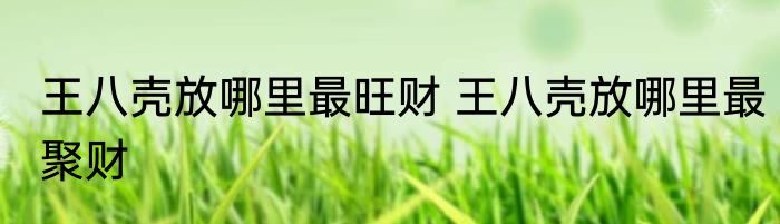 王八壳放哪里最旺财 王八壳放哪里最聚财