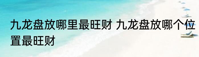 九龙盘放哪里最旺财 九龙盘放哪个位置最旺财