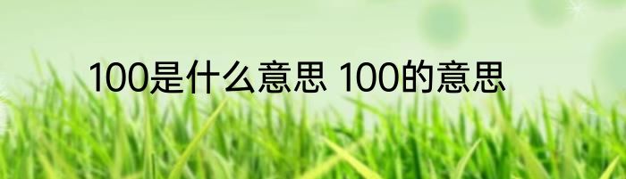 100是什么意思 100的意思