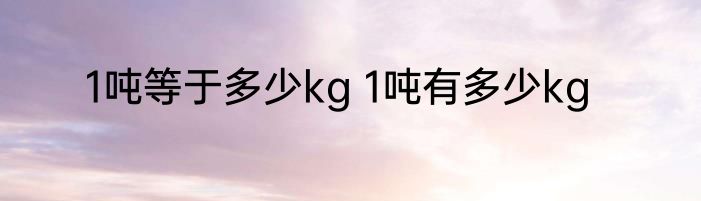 1吨等于多少kg 1吨有多少kg