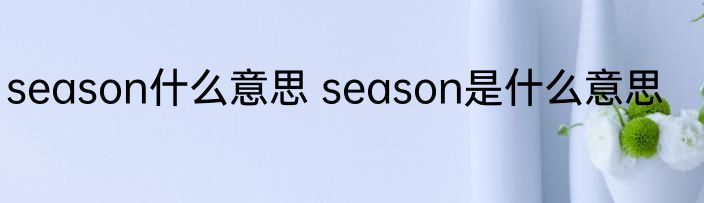season什么意思 season是什么意思