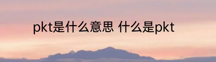 pkt是什么意思 什么是pkt