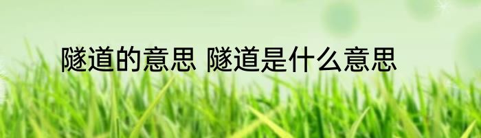 隧道的意思 隧道是什么意思