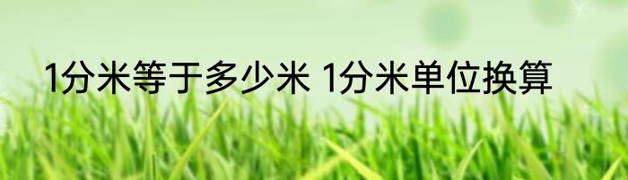 1分米等于多少米 1分米单位换算