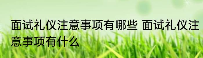 面试礼仪注意事项有哪些 面试礼仪注意事项有什么