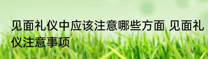 见面礼仪中应该注意哪些方面 见面礼仪注意事项