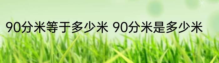 90分米等于多少米 90分米是多少米