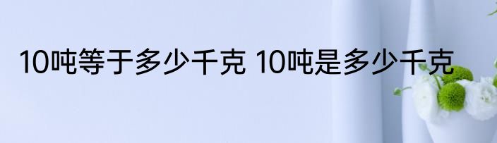 10吨等于多少千克 10吨是多少千克