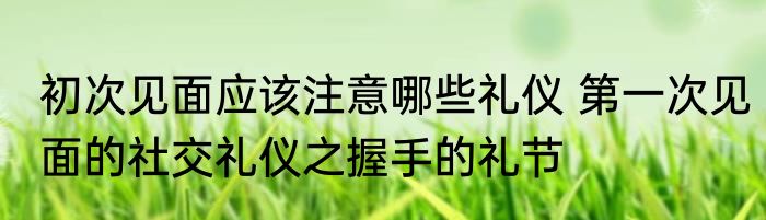 初次见面应该注意哪些礼仪 第一次见面的社交礼仪之握手的礼节