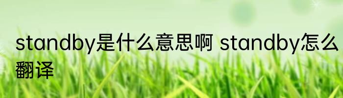 standby是什么意思啊 standby怎么翻译