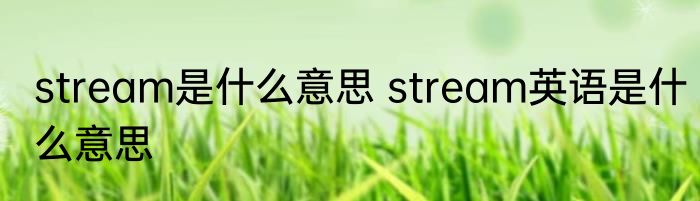 stream是什么意思 stream英语是什么意思