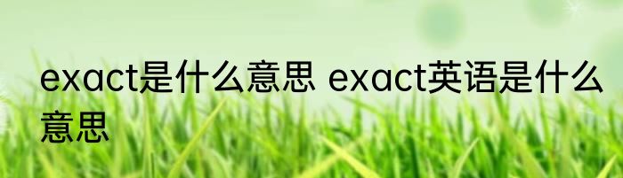 exact是什么意思 exact英语是什么意思