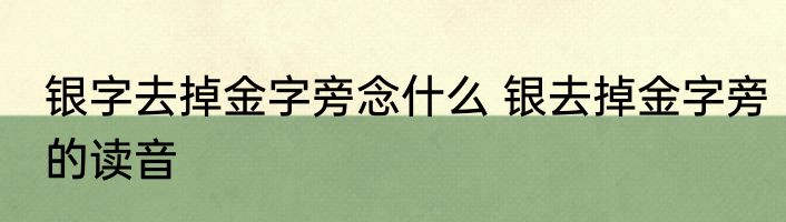 银字去掉金字旁念什么 银去掉金字旁的读音