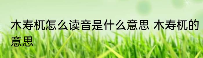 木寿杌怎么读音是什么意思 木寿杌的意思