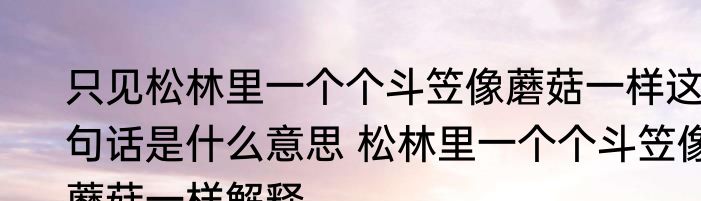 只见松林里一个个斗笠像蘑菇一样这句话是什么意思 松林里一个个斗笠像蘑菇一样解释