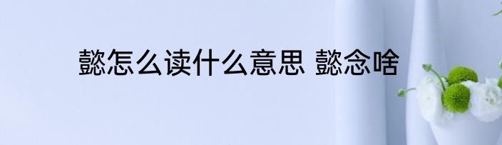 懿怎么读什么意思 懿念啥