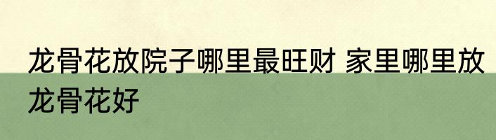 龙骨花放院子哪里最旺财 家里哪里放龙骨花好