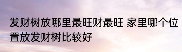 发财树放哪里最旺财最旺 家里哪个位置放发财树比较好