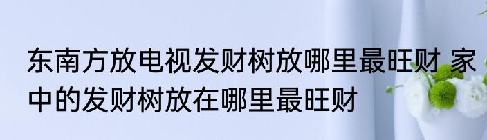 东南方放电视发财树放哪里最旺财 家中的发财树放在哪里最旺财